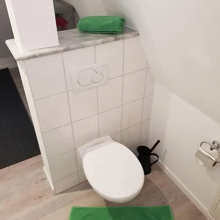 Penthouse Ueber Den Daechern Badenweilers Διαμέρισμα *
