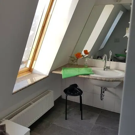 Penthouse Ueber Den Daechern Badenweilers Διαμέρισμα