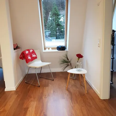 Penthouse Ueber Den Daechern Badenweilers Διαμέρισμα *